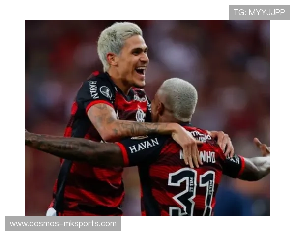 解放者杯最佳射手闪耀赛场，进球如麻引领球队前行